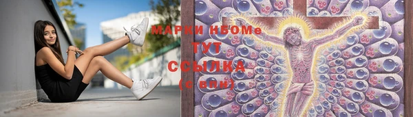 сатива Аркадак