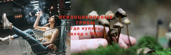 винт Баксан