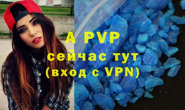 сатива Аркадак